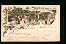 Lithographie Friedrichsruh, Hôtel Waldesruh Zu Aumühle, Terrassenansicht  - Friedrichsruh