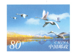 China 2006, Postal Stationary, Pre-Stamped Cover 80-Cent, MNH** - Cigni