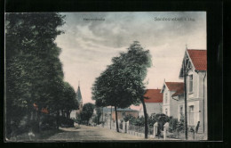 AK Sandesneben I. Lbg., Blick In Die Herrenstrasse  - Sonstige & Ohne Zuordnung