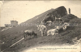 12055376 Rochers De Naye Hotel Und Kuhherde Rochers De Naye - Autres & Non Classés