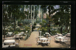 AK Siegmar, Gasthaus Pelzmühle, Blick über Die Terrasse  - Sonstige & Ohne Zuordnung