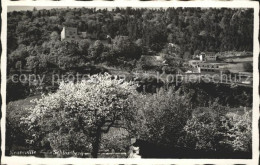 12044296 La Neuveville Schlossberg La Neuveville - Autres & Non Classés