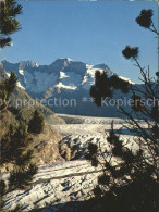 12040076 Aletschgletscher Aletschwald Schoenbuehlhorn Wannenhorn Aletsch, Grosse - Sonstige & Ohne Zuordnung