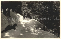 12033006 Klosters GR Waldweg Im Winter Klosters - Sonstige & Ohne Zuordnung