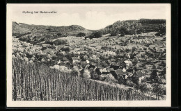 AK Lipburg Bei Badenweiler, Totale Vom Berg Aus Gesehen  - Badenweiler