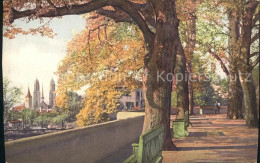 12014146 Zuerich Hohe Promenade Herbststimmung Serie 113 Zuerich - Andere & Zonder Classificatie