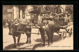AK Salonique, Chariot à Boeufs, Rindergespann  - Grèce