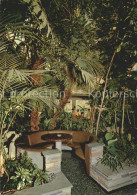 12005436 Studen BE Cafe Restaurant Florida Tropische Vegetation  Studen BE - Andere & Zonder Classificatie