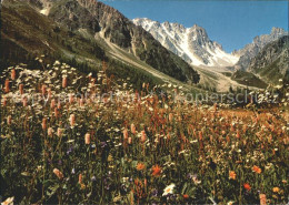 11980606 Champex-Lac Val Arpettaz Pointe Orny Ecandies Champex-Lac - Autres & Non Classés