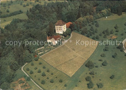 11972576 Gelfingen Schloss Heidegg Gelfingen - Otros & Sin Clasificación