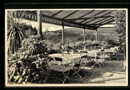 AK Lorch / Württ., Waldcafé Muckensee, Terrasse  - Lorch