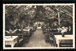 AK Lorch / Württ., Waldcafé Muckensee, Gartenterrasse  - Lorch