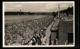 AK Berlin-Wannsee, Strandbad Mit Besuchern Und Badegästen  - Wannsee