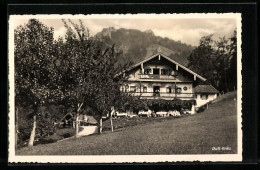 AK Törwang / Obb., Alpengasthaus Duftbräu  - Other & Unclassified
