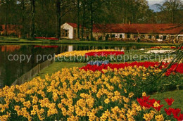 72913505 Lisse Keukenhof Blumenbeet Lisse - Sonstige & Ohne Zuordnung