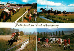 72913445 Bad Harzburg Reitsport Pferderennen Fuchsjagd Bad Harzburg - Bad Harzburg