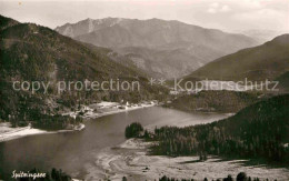 72912454 Spitzingsee Panorama Mit Sonnwendjoch Schliersee - Schliersee