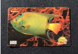 (No Control Number) Unused Malaysia Telekom UNIPHONEKAD GPT Phonecard - FISH, Set Of 1 Unused Card - Malesia