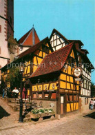 72909258 Michelstadt Elefantenhaus  Michelstadt - Michelstadt