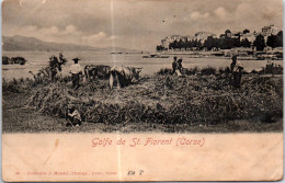 20 SAINT FLORENT - Scene Agricole Dans Le Golfe  - Otros & Sin Clasificación