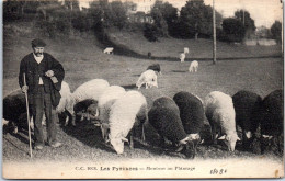 64 Les Pyrenees, Moutons Au Paturage. - Autres & Non Classés
