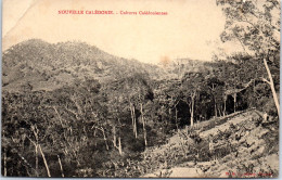 NOUVELLE CALEDONIE - Vue De Cultures Caledoniennes  - Nouvelle Calédonie