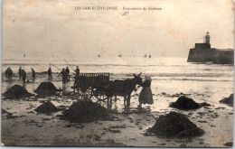 85 LES SABLES D'OLONNE - Ramasseurs De Goemon  - Sables D'Olonne