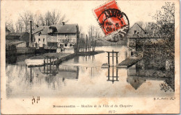 41 ROMORANTIN - Moulins De La Ville Et Du Chapitre  - Romorantin