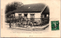 77 FONTAINEBLEAU - Chasse A Courre, Les Chiens Au Chenil  - Fontainebleau