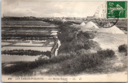 85 LES SABLES D'OLONNE - Vue Des Marais Salants  - Sables D'Olonne