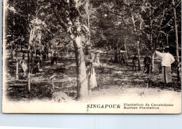 SINGAPOUR - Une Plantation De Caoutchouc. - Singapur