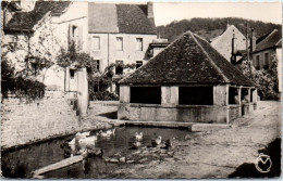 58 DORNECY - Le Vieux Lavoir. - Other & Unclassified