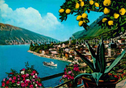 72904538 Limone Sul Garda Panorama Gardasee Zitronenbaum Kaktus Limone Sul Garda - Altri & Non Classificati