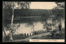 AK Berlin-Zehlendorf, Krumme Lanke  - Zehlendorf