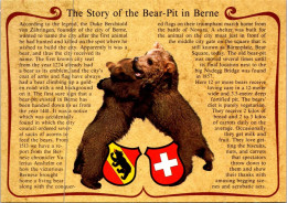 12-5-2024 (4 Z 50)  Bear Pit In Berne (Suisse) - Ours