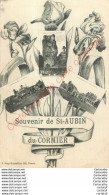 35.  Souvenir De SAINT-AUBIN Du CORMIER . - Andere & Zonder Classificatie