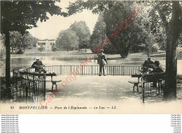 34.  MONTPELLIER .  Parc De L'Esplanade . - Montpellier