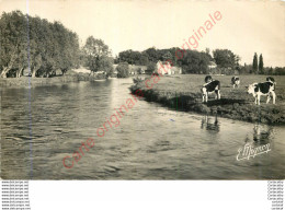 27.  PACY Sur EURE .  Ses Environs . Les Bords De L'Eure . - Pacy-sur-Eure