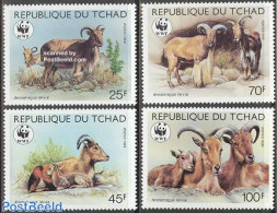 Chad 1988 WWF, Barbary Sheep 4v, Mint NH, Nature - Animals (others & Mixed) - World Wildlife Fund (WWF) - Autres & Non Classés