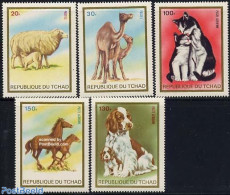 Chad 1973 Domestic Animals 5v, Mint NH, Nature - Animals (others & Mixed) - Camels - Cats - Cattle - Dogs - Horses - Andere & Zonder Classificatie