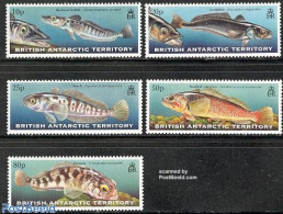 British Antarctica 1999 Fish 5v, Mint NH, Nature - Fish - Poissons