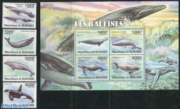 Burundi 2011 Whales 4v + S/s, Mint NH, Nature - Sea Mammals - Autres & Non Classés