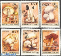 Chad 1996 Mushrooms, Scouting  6v, Mint NH, Nature - Sport - Mushrooms - Scouting - Autres & Non Classés