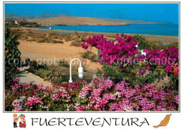 72903425 Costa Calma Panorama  Costa Calma - Other & Unclassified