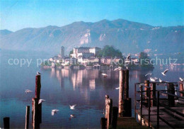 72902695 Isola San Giulio Gesamtansicht  Isola San Giulio - Sonstige & Ohne Zuordnung