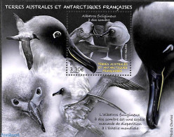 French Antarctic Territory 2023 Albatros S/s, Mint NH, Nature - Birds - Unused Stamps