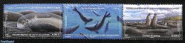 French Antarctic Territory 2023 Sea Elephant 3v [::], Mint NH, Nature - Sea Mammals - Nuevos