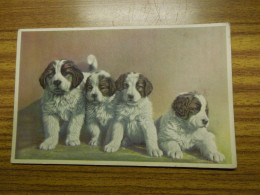 Chiots, Bel état, écrite Environ 1958 - Honden