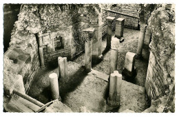 Abbaye De Flavigny-sur-Ozerain - Chapelle Hexagonale - Sonstige & Ohne Zuordnung