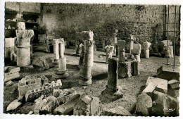 Abbaye De Flavigny-sur-Ozerain - Musée Lapidaire - Other & Unclassified